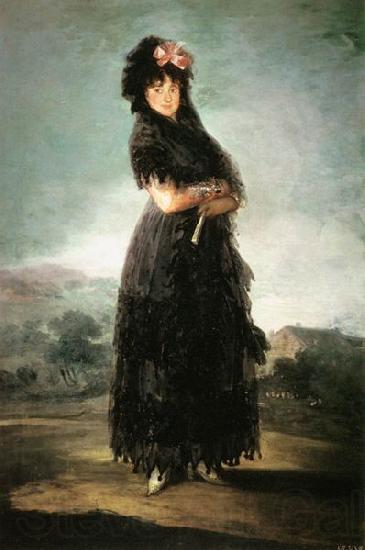 Francisco de Goya Portrait of Mariana Waldstein, 9th Marchioness of de Santa Cruz France oil painting art